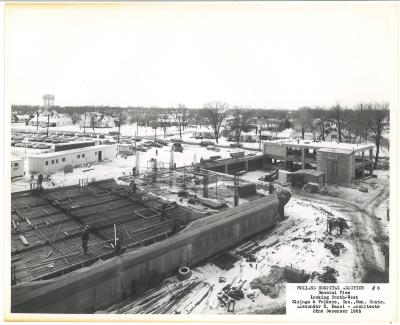 photograph 